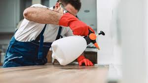 Best Residential Pest Control  in Churubusco, IN